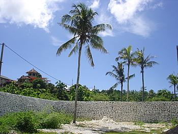 ������� ����� � ������ �����